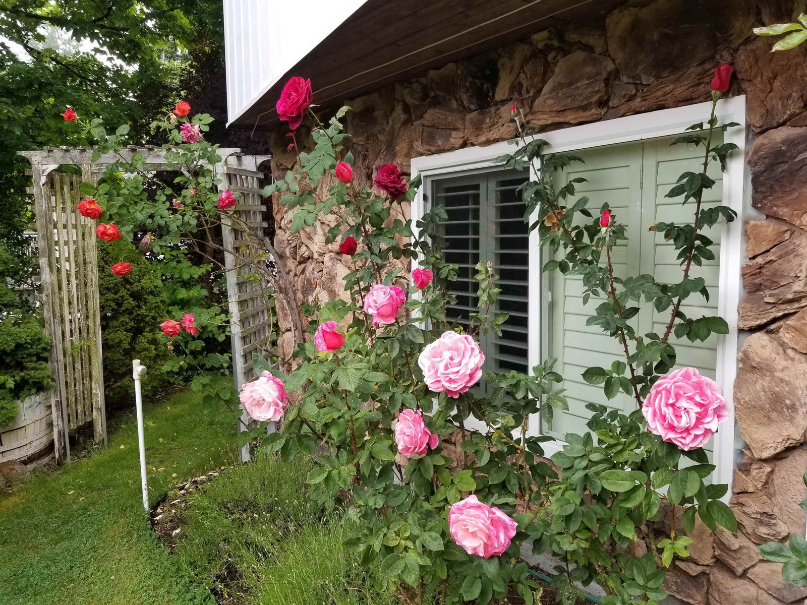 Listing Image 37
