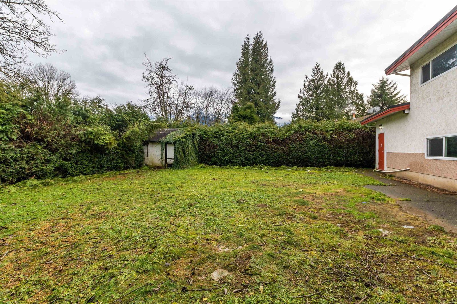 Listing Image 37
