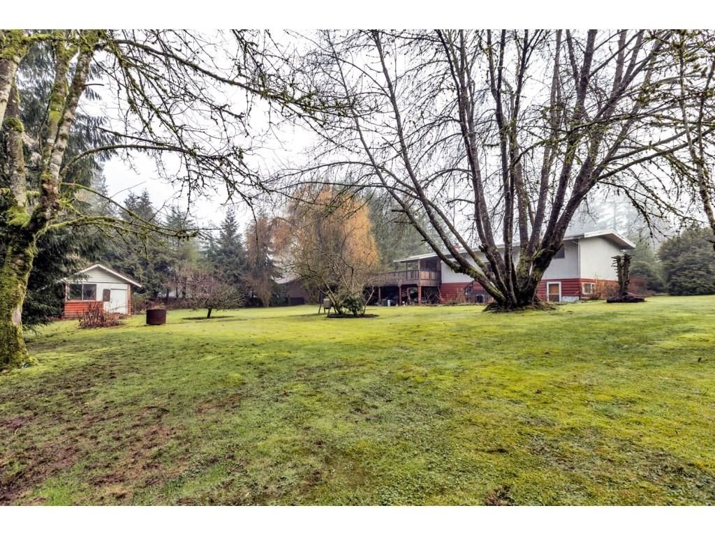 Listing Image 11