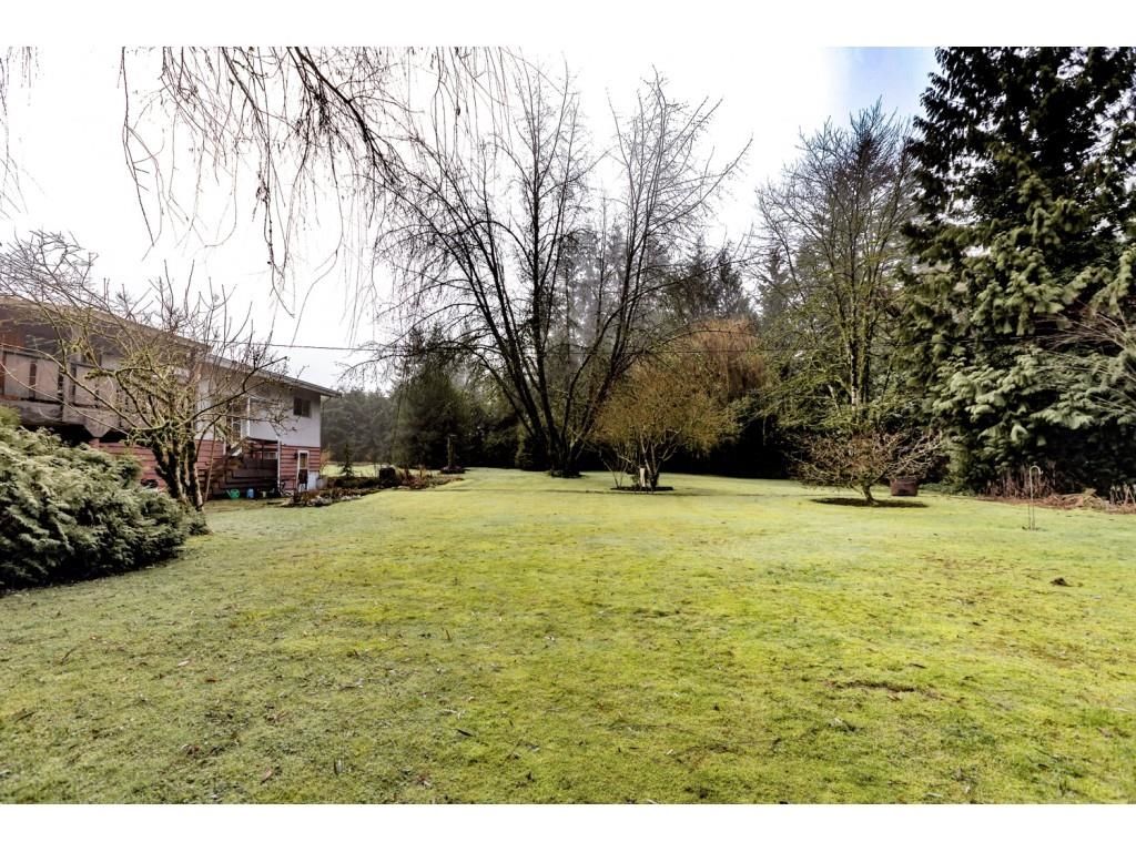 Listing Image 15