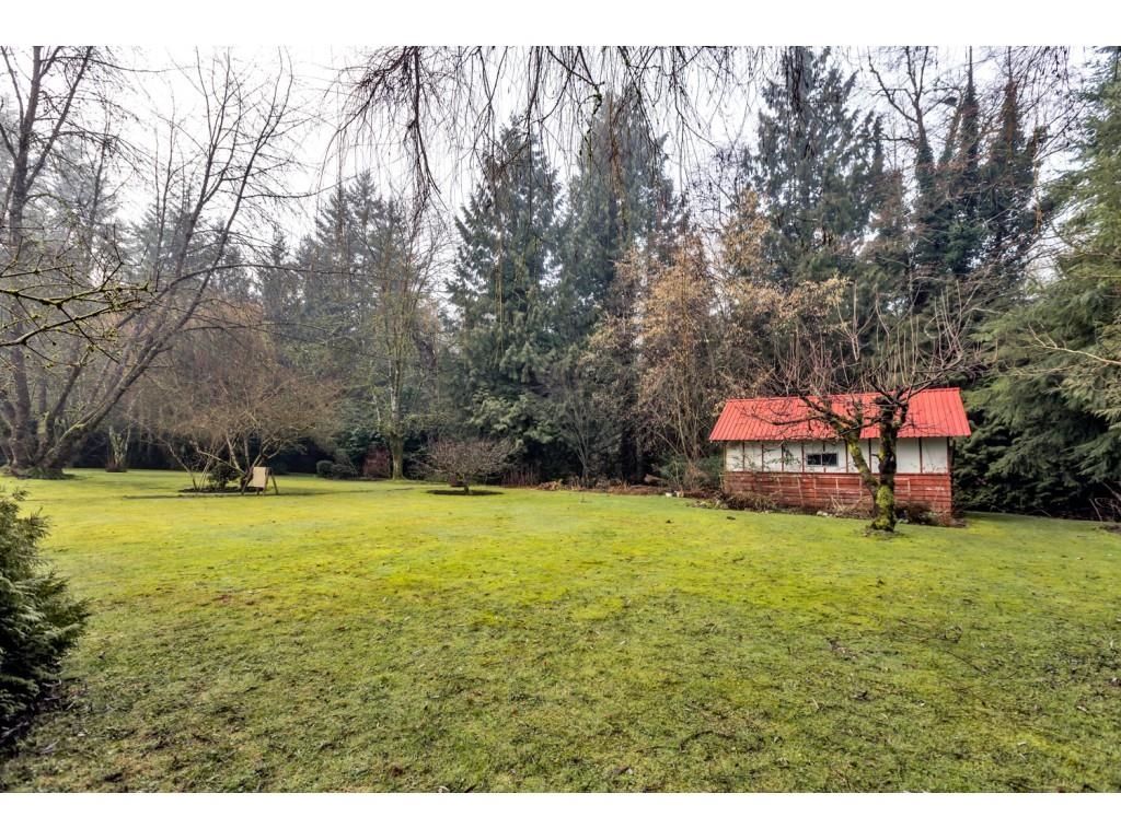 Listing Image 16