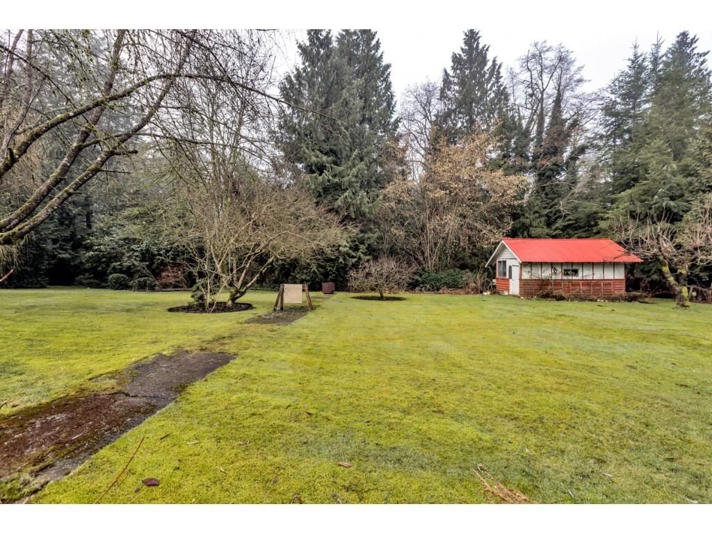 Listing Image 18