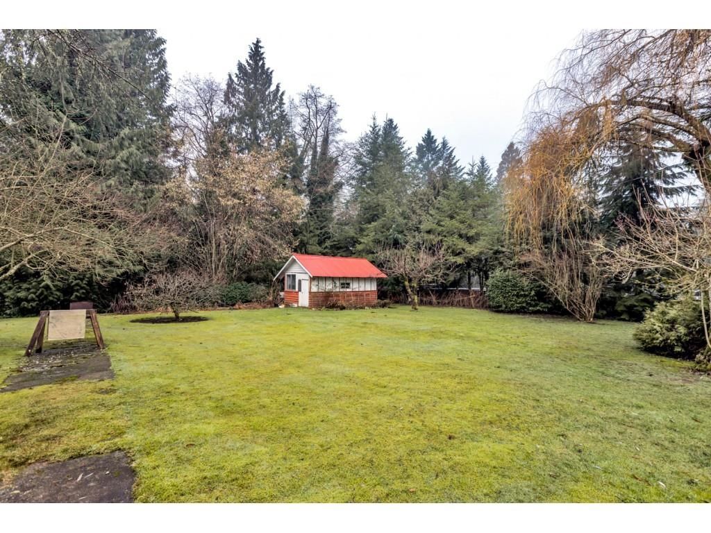 Listing Image 19