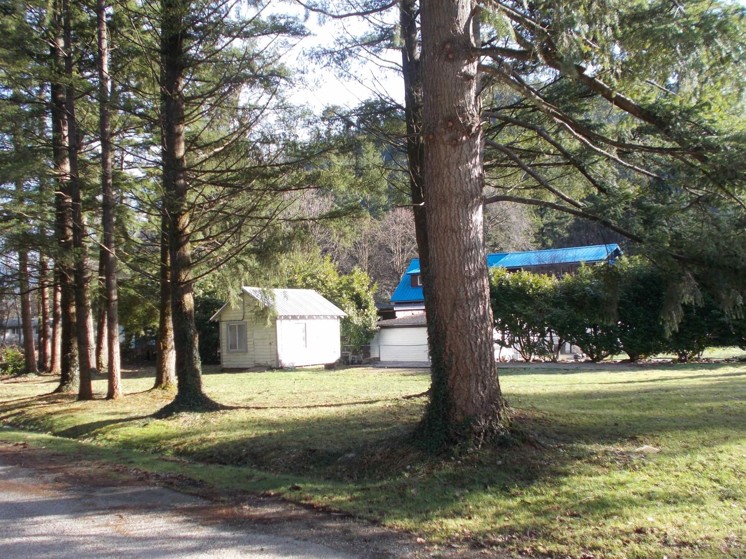 Listing Image 6