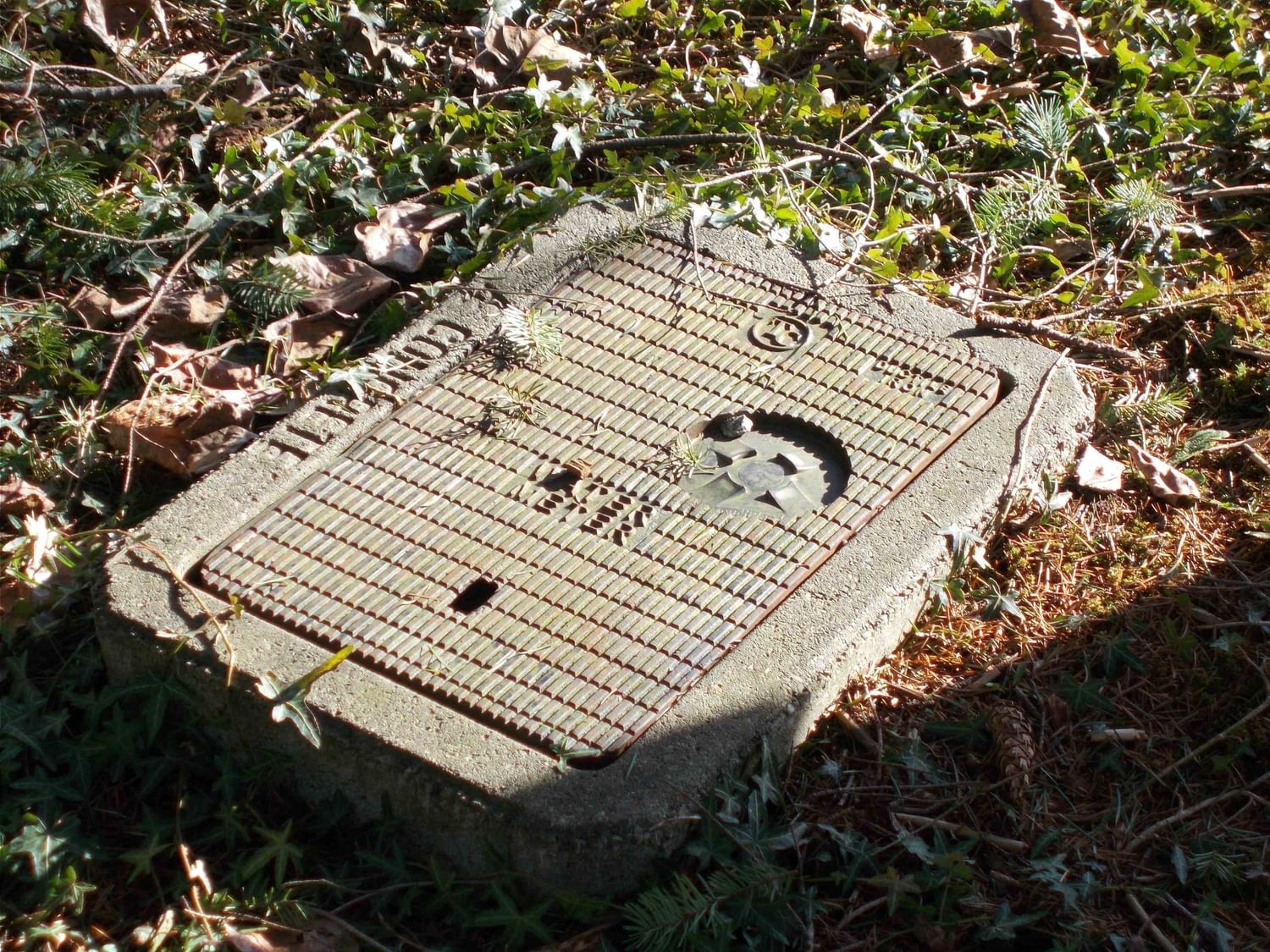 Listing Image 8