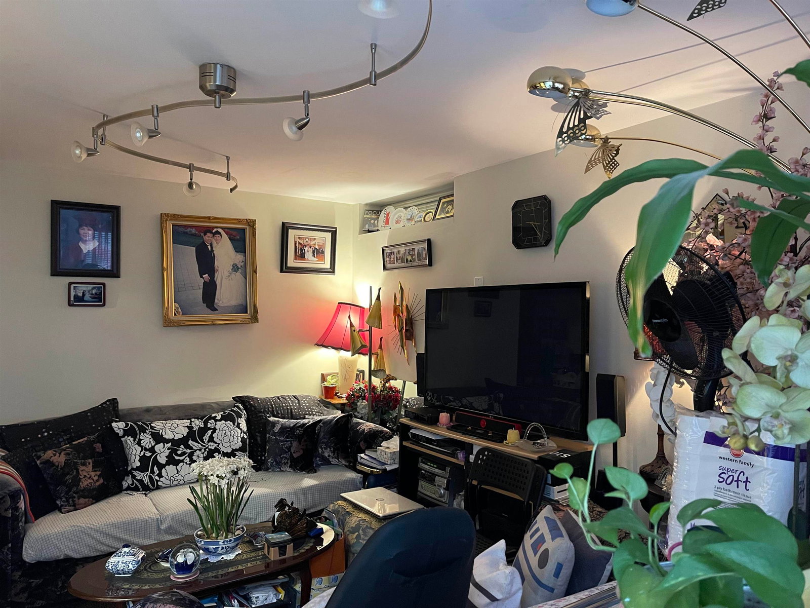 Listing Image 18