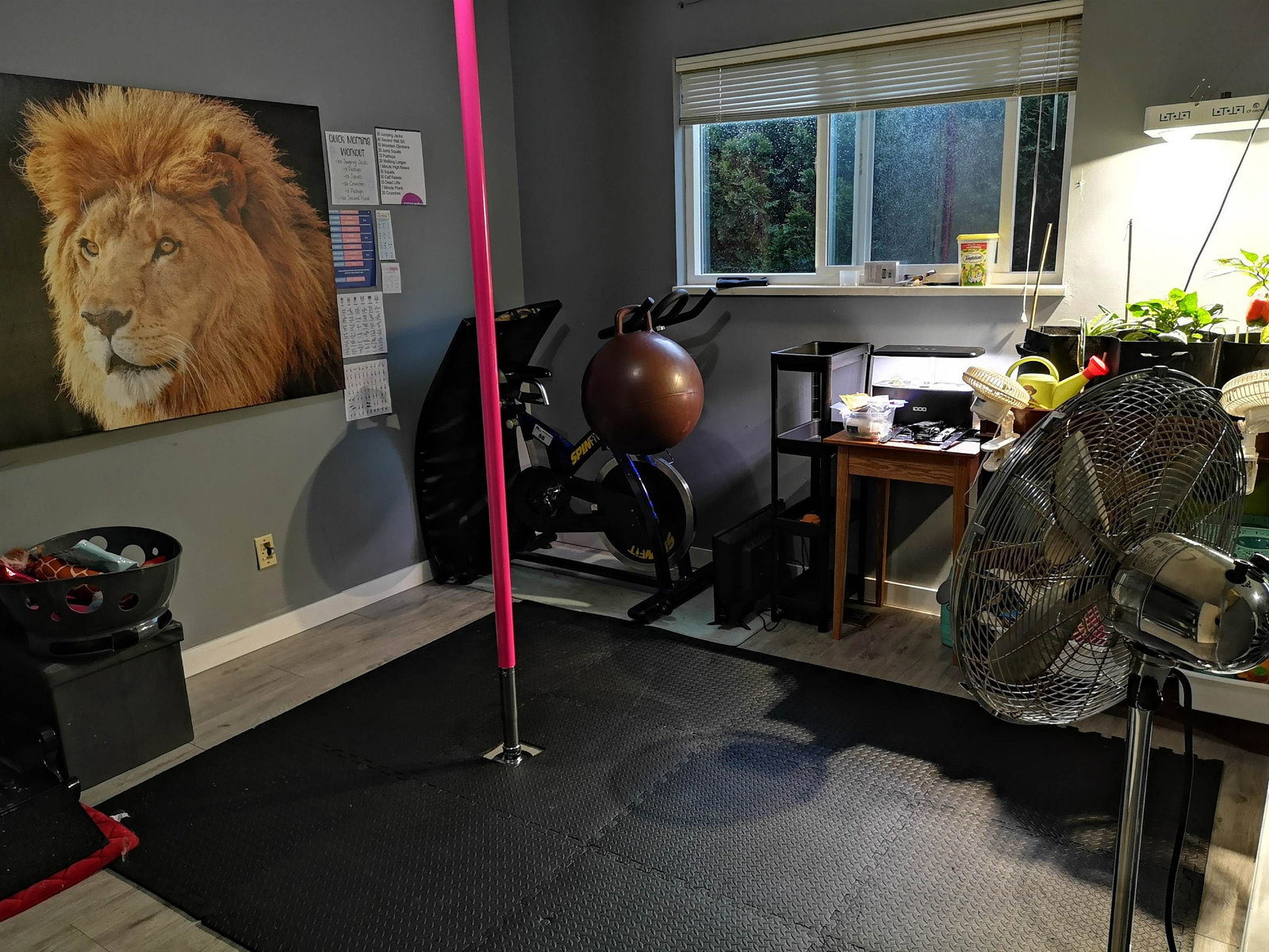 Listing Image 10