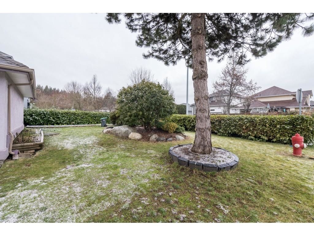 Listing Image 30