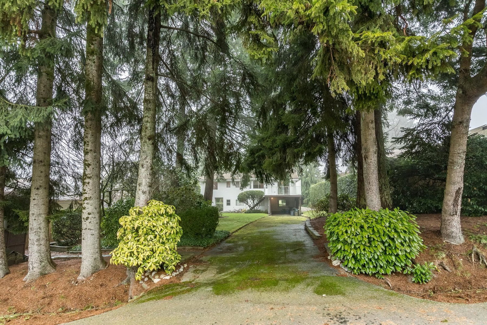 Listing Image 29