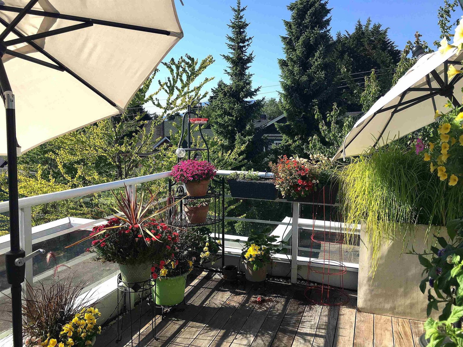 Listing Image 32