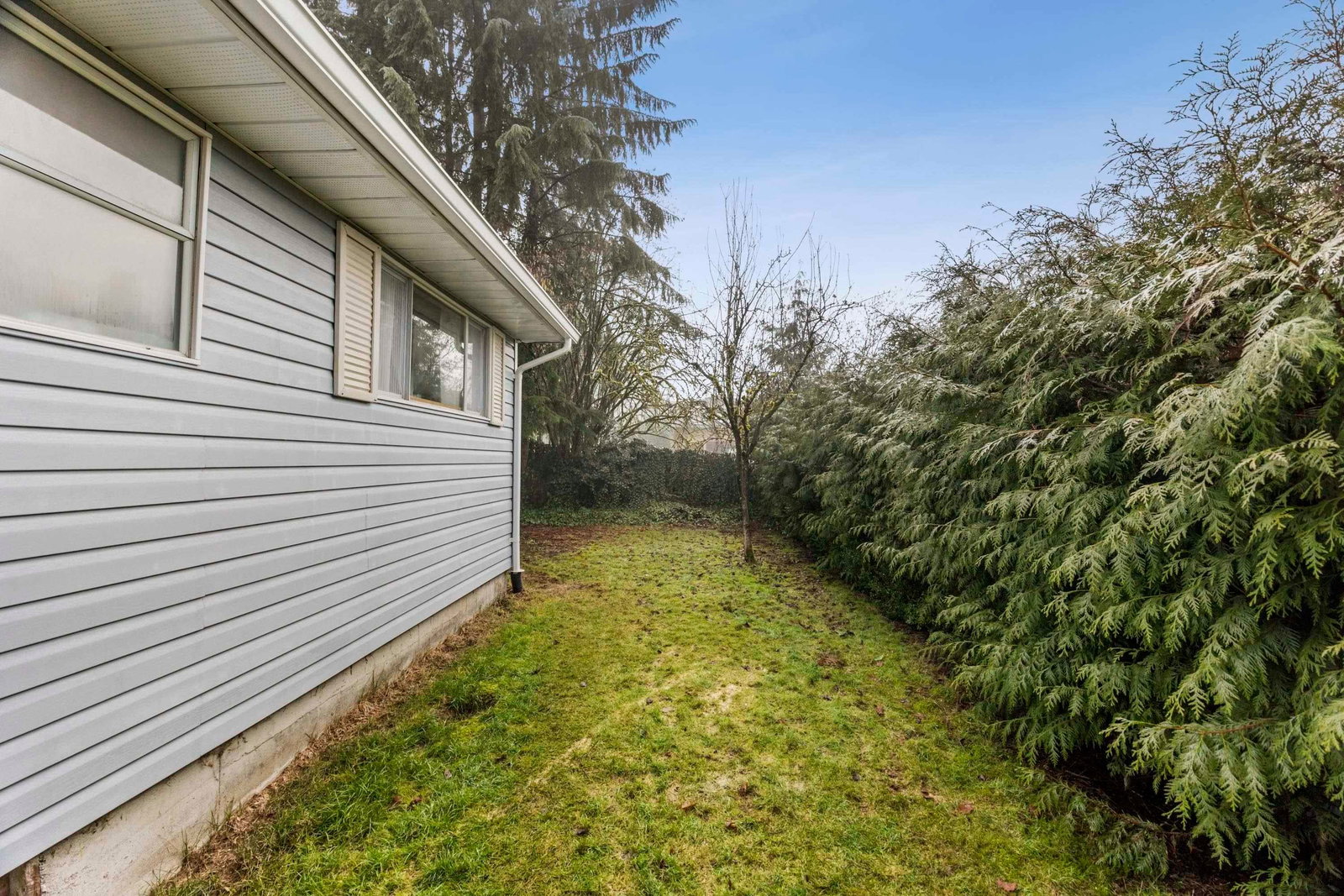 Listing Image 33