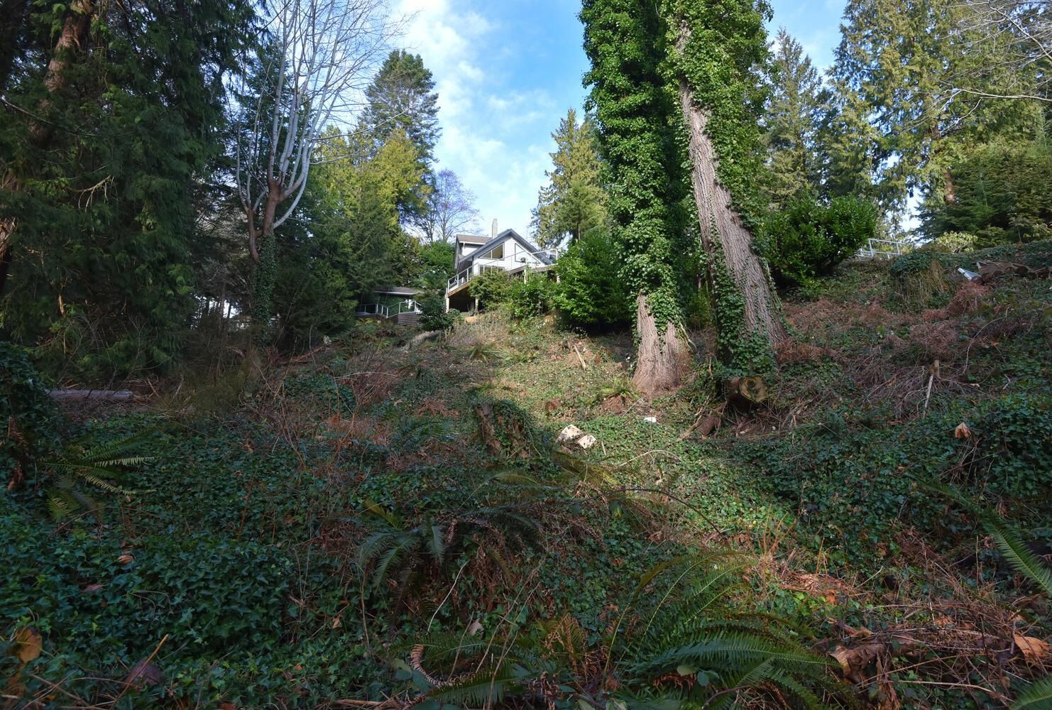 Listing Image 32
