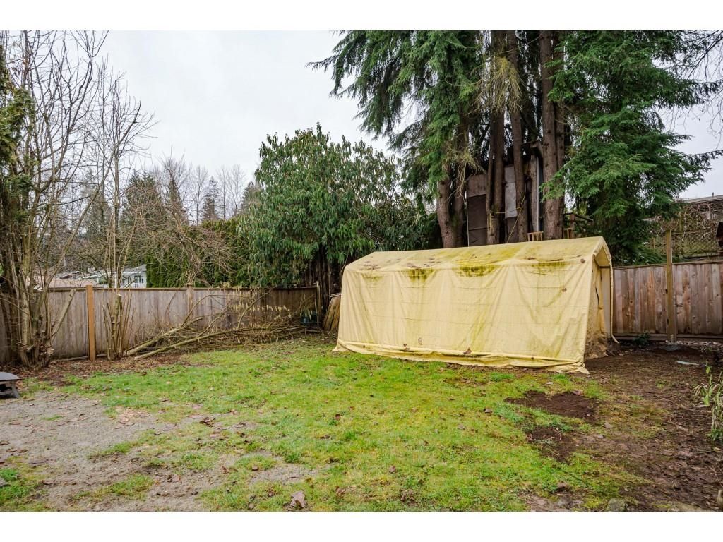 Listing Image 20