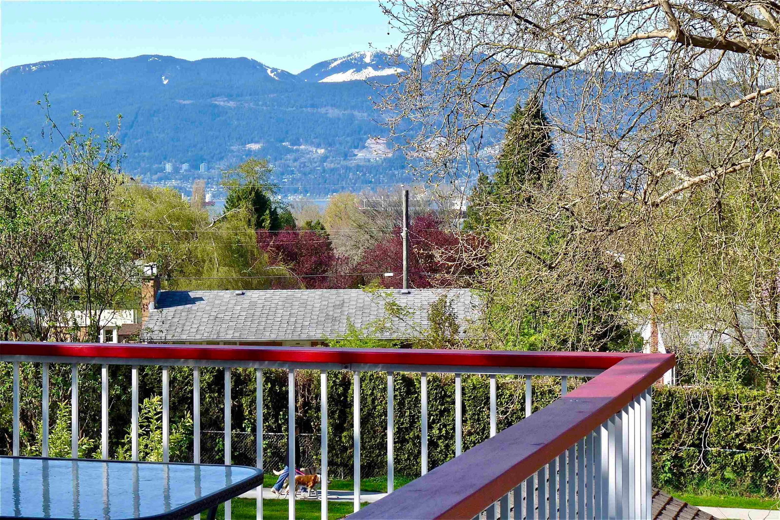 Listing Image 11