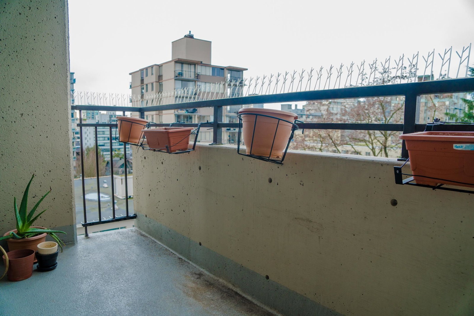 Listing Image 21