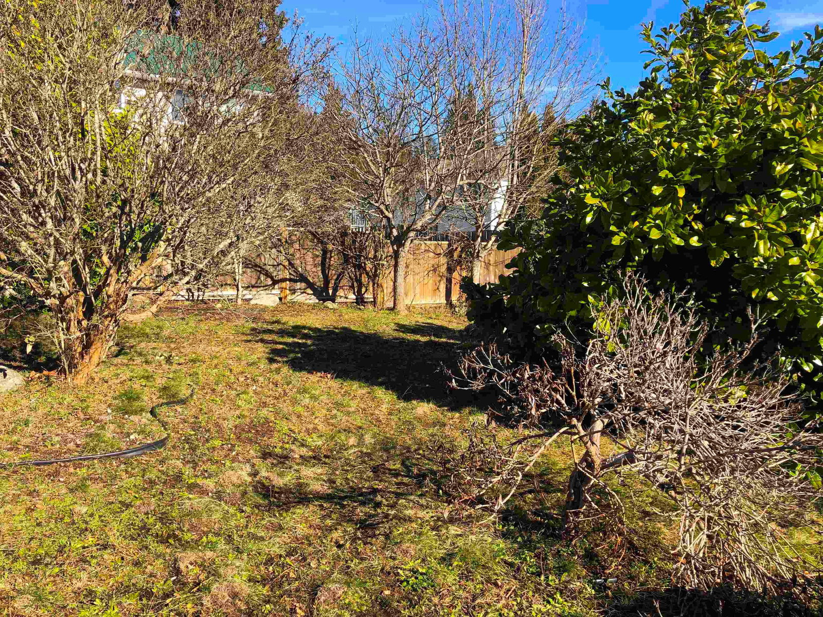 Listing Image 29