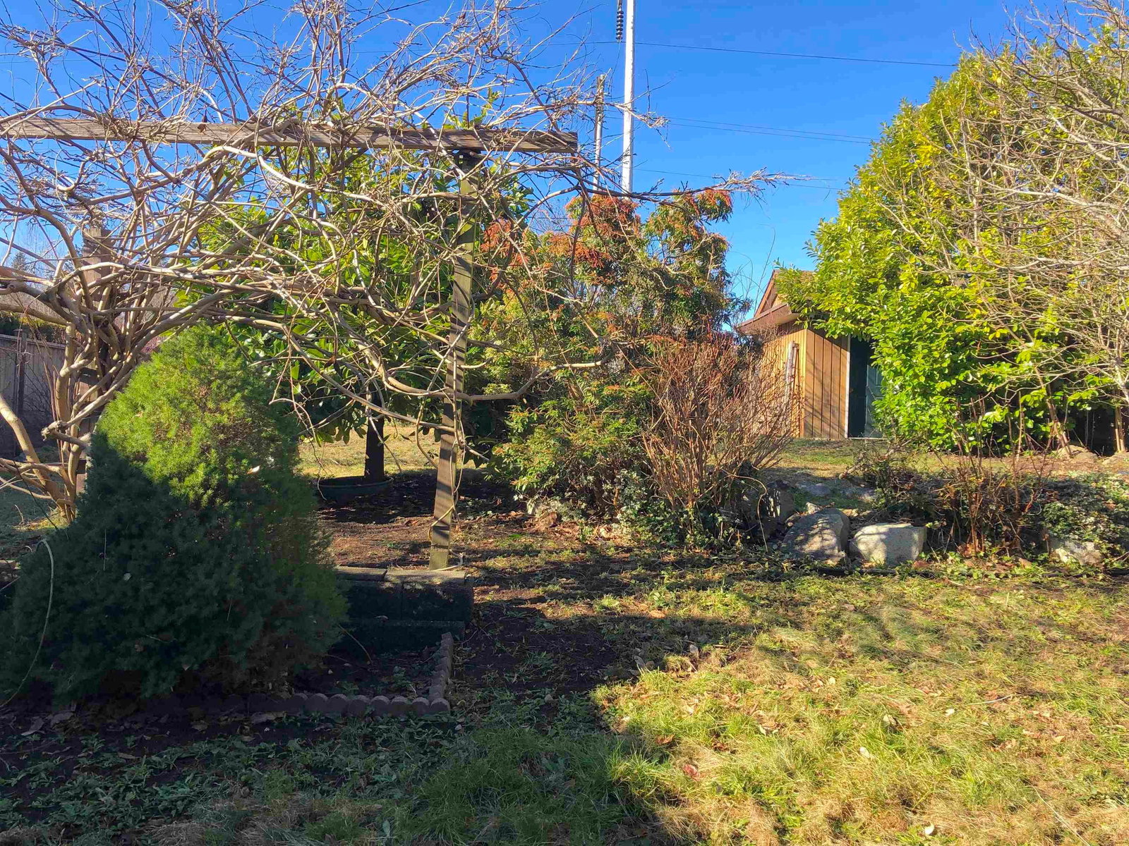 Listing Image 31