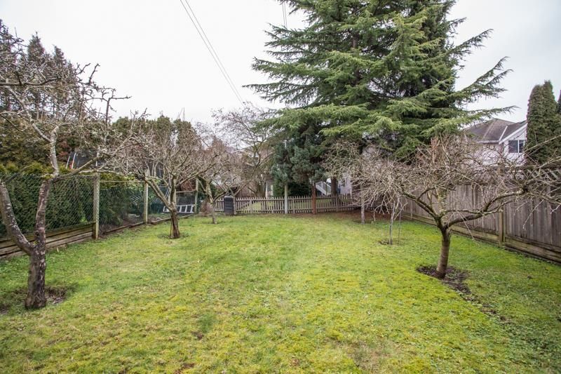 Listing Image 37