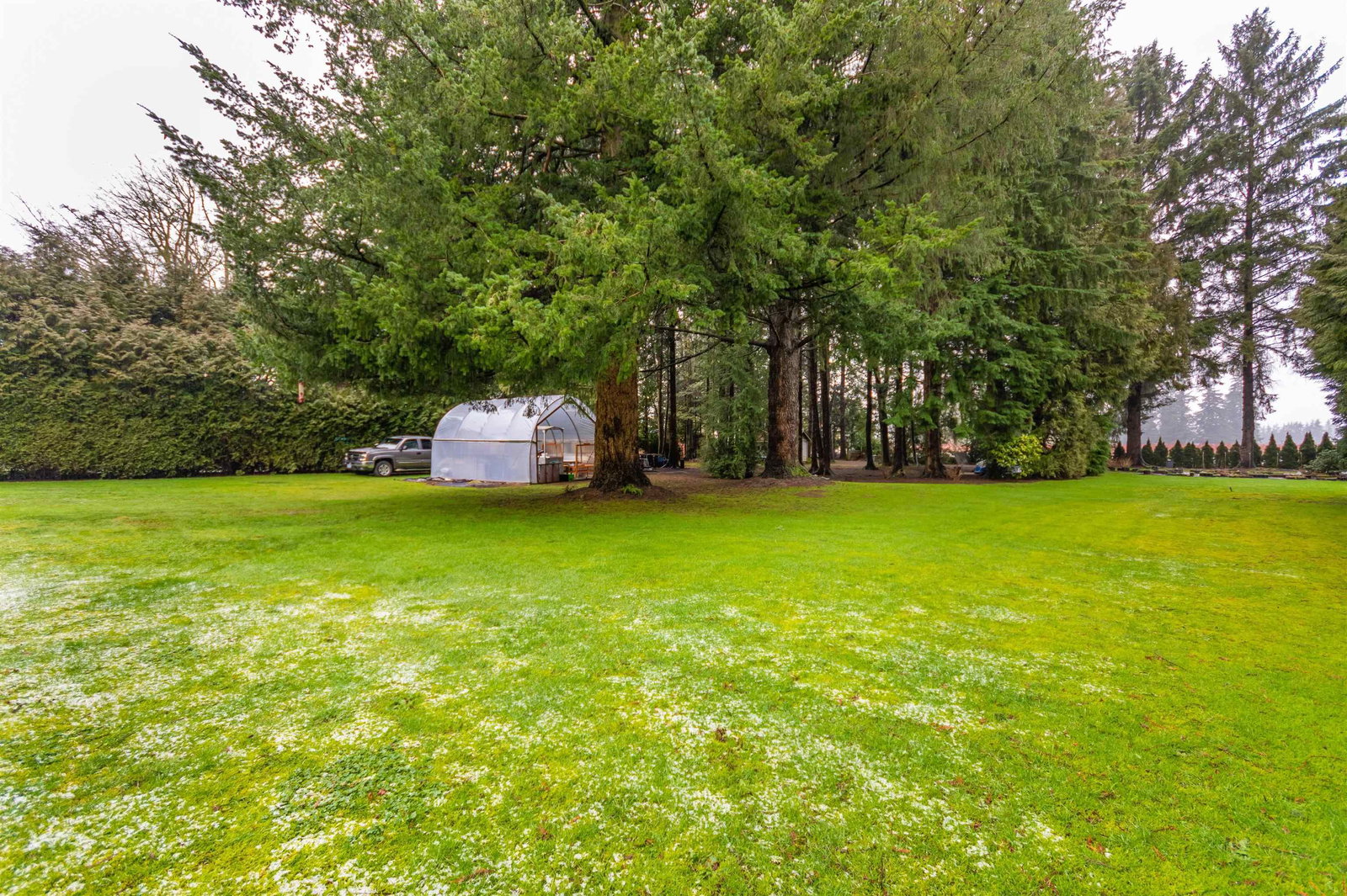 Listing Image 36