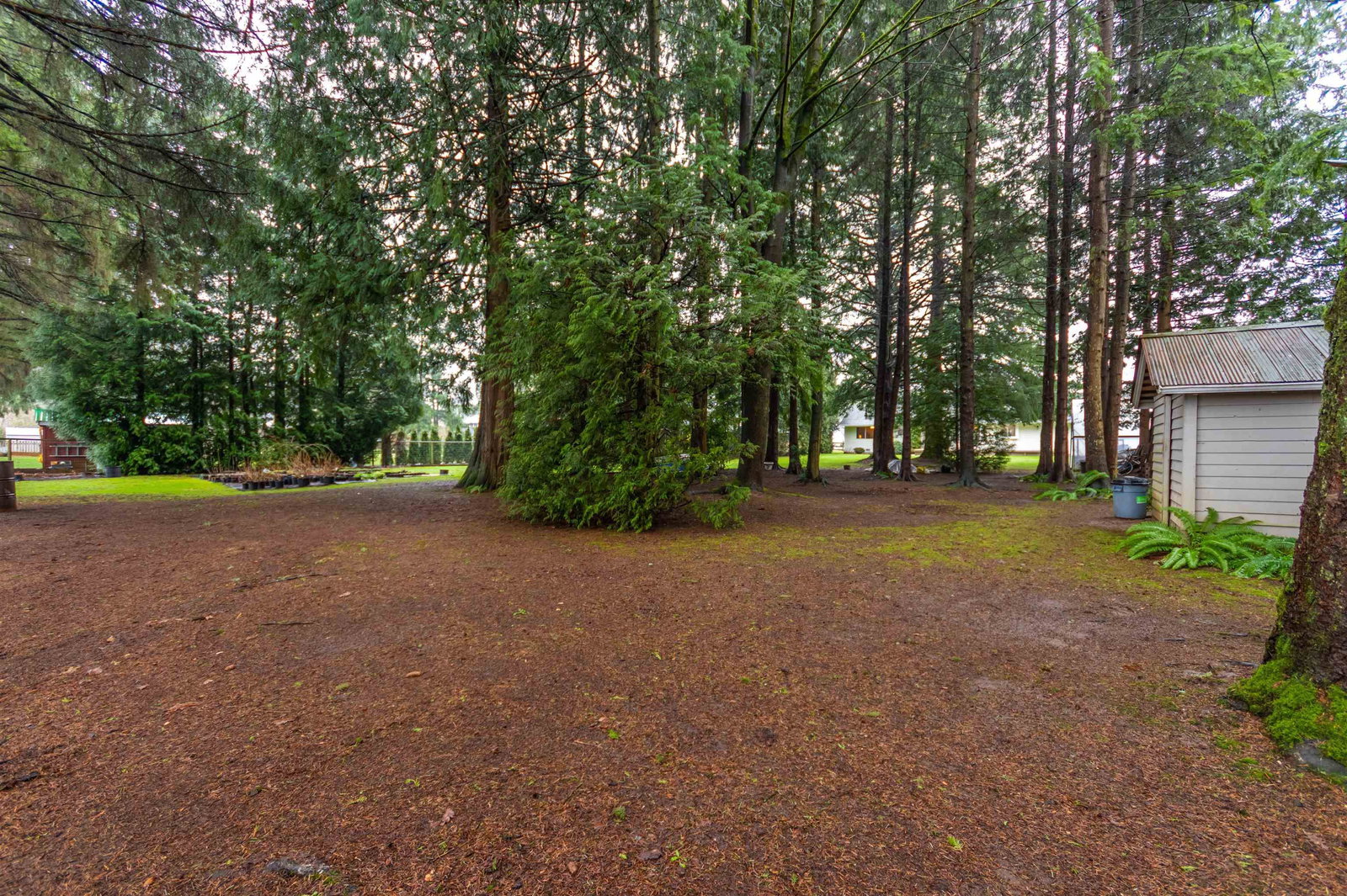 Listing Image 39