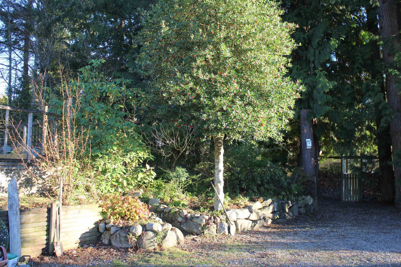 Listing Image 31