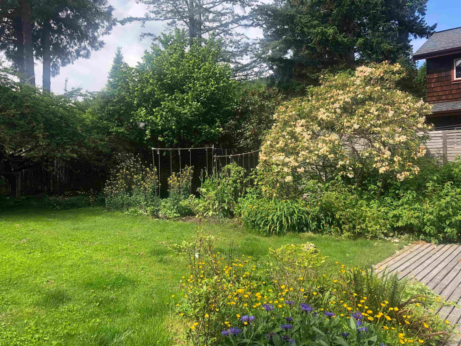 Listing Image 21