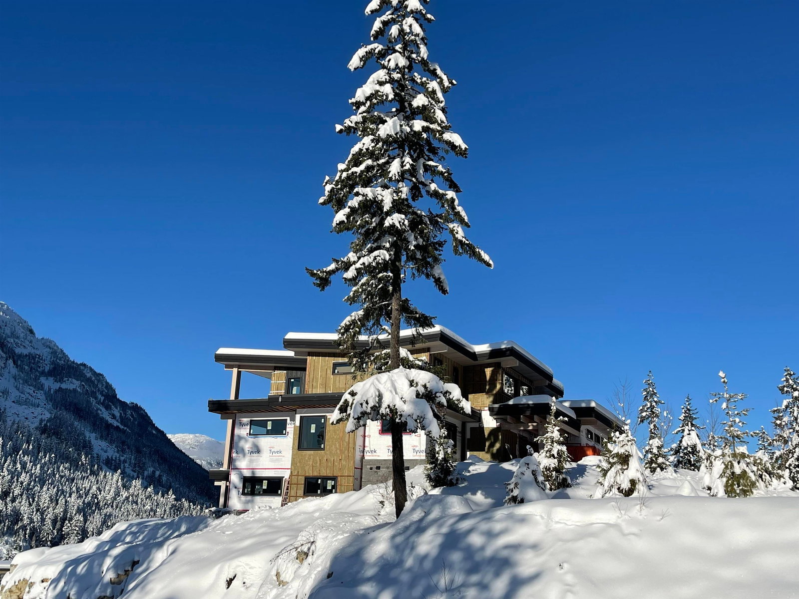 Listing Image 6