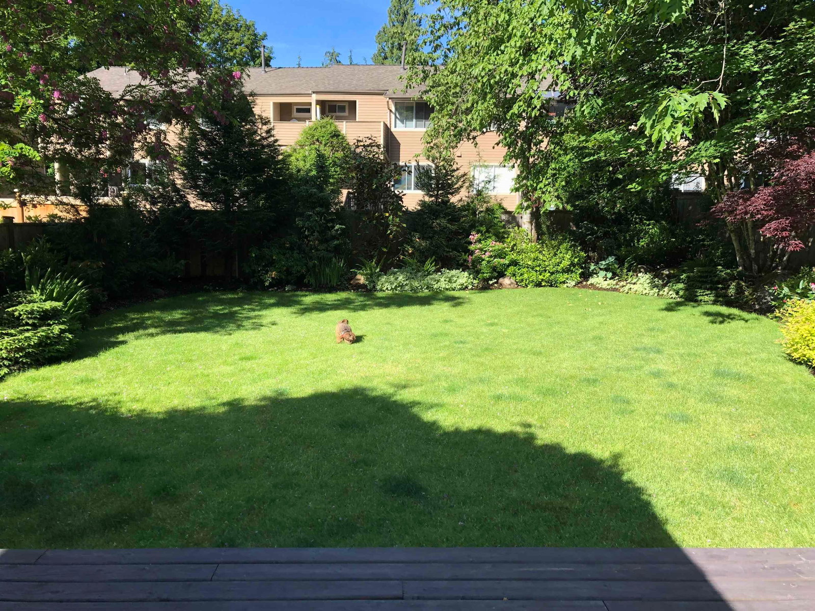 Listing Image 33