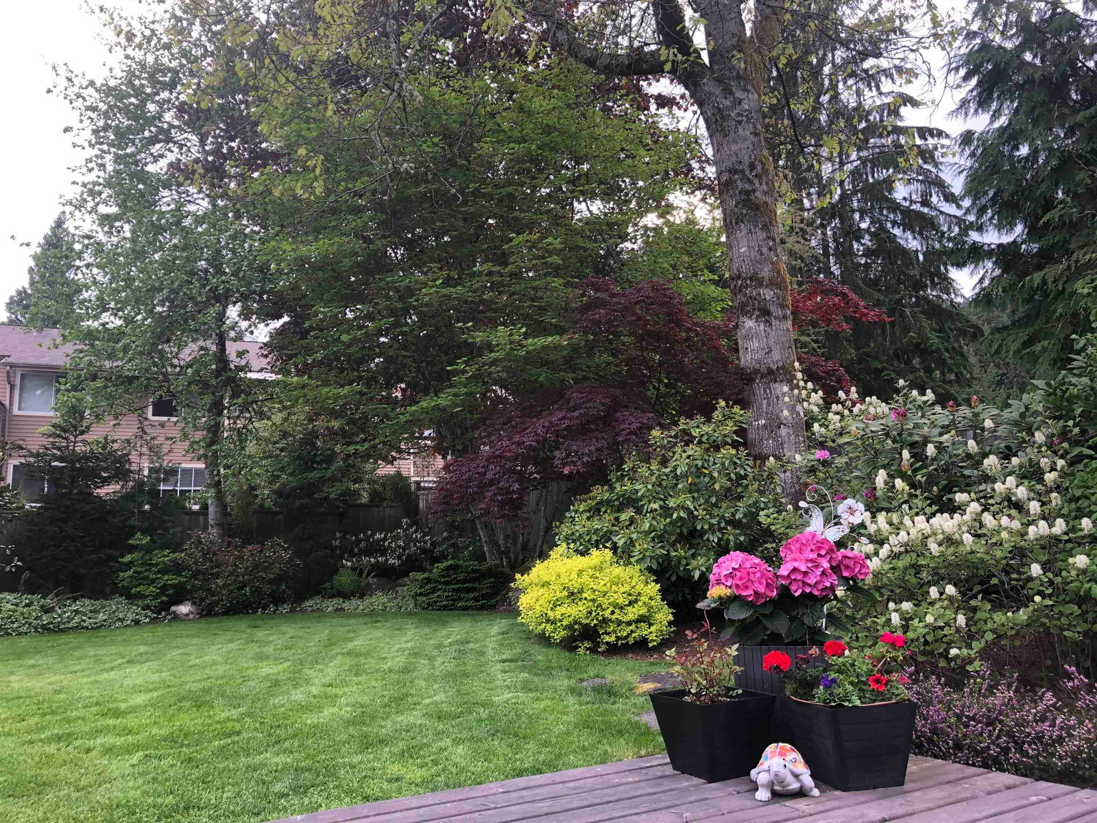 Listing Image 35