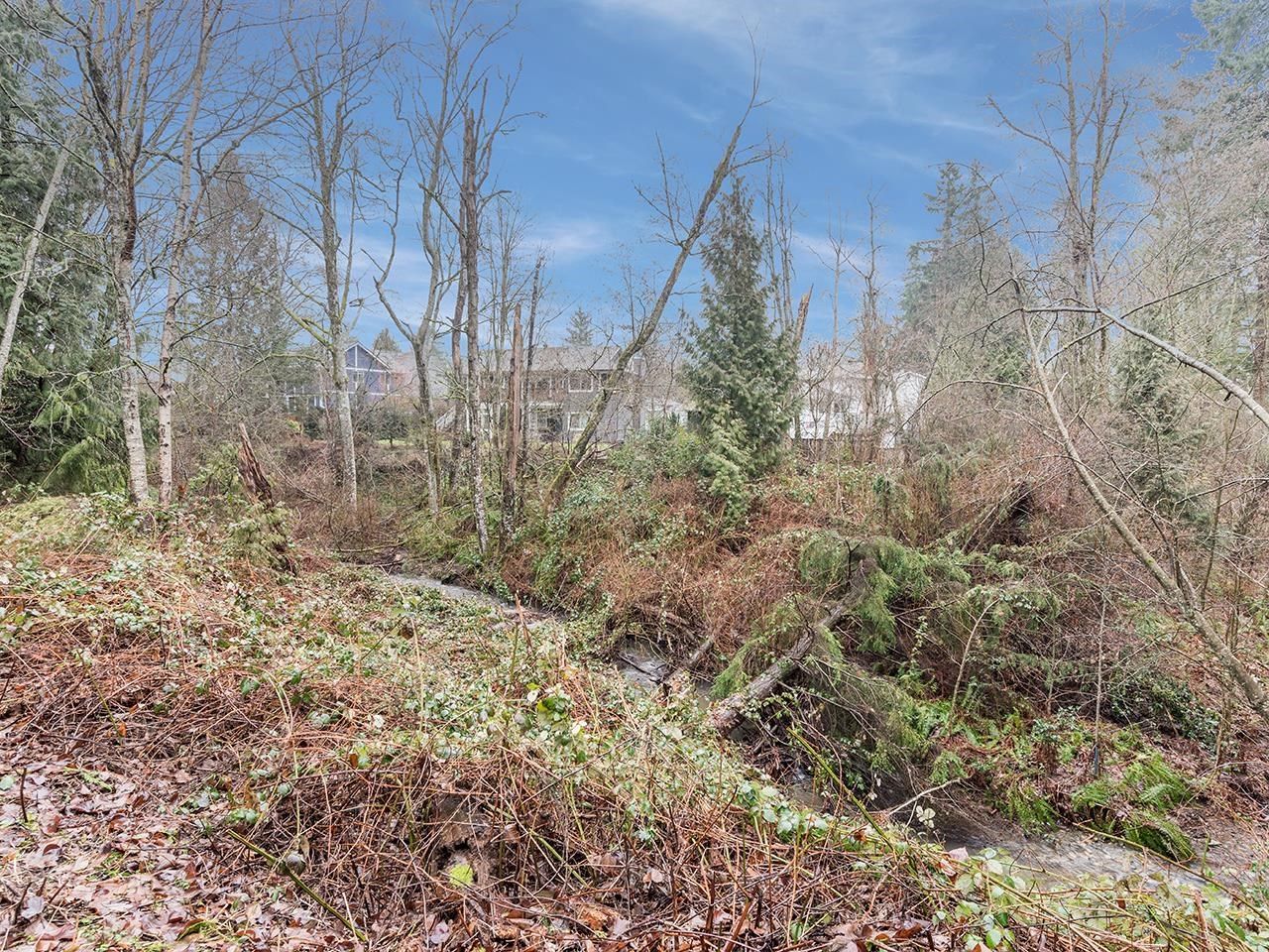 Listing Image 37