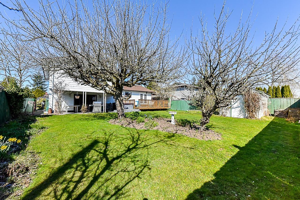 Listing Image 20
