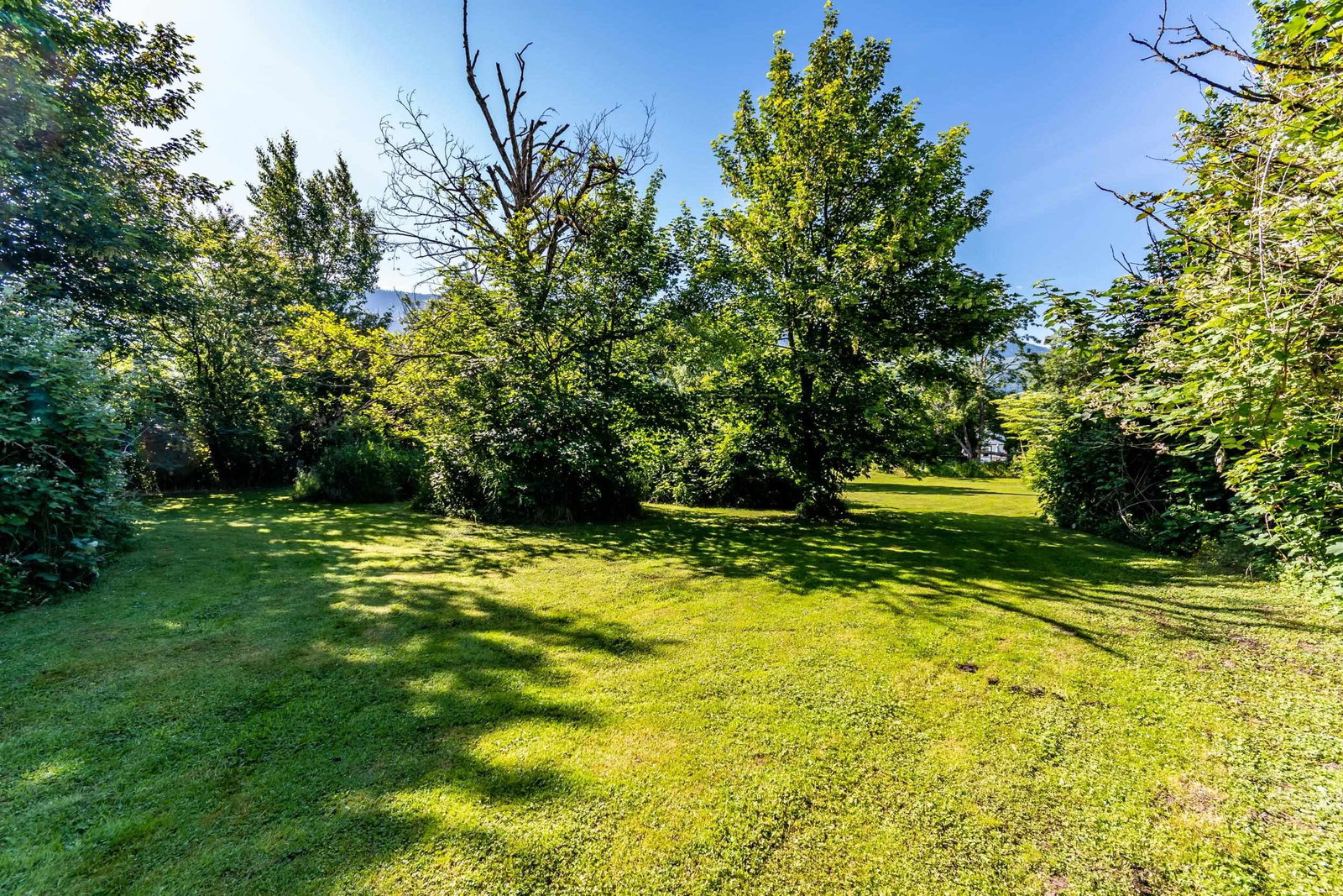 Listing Image 29
