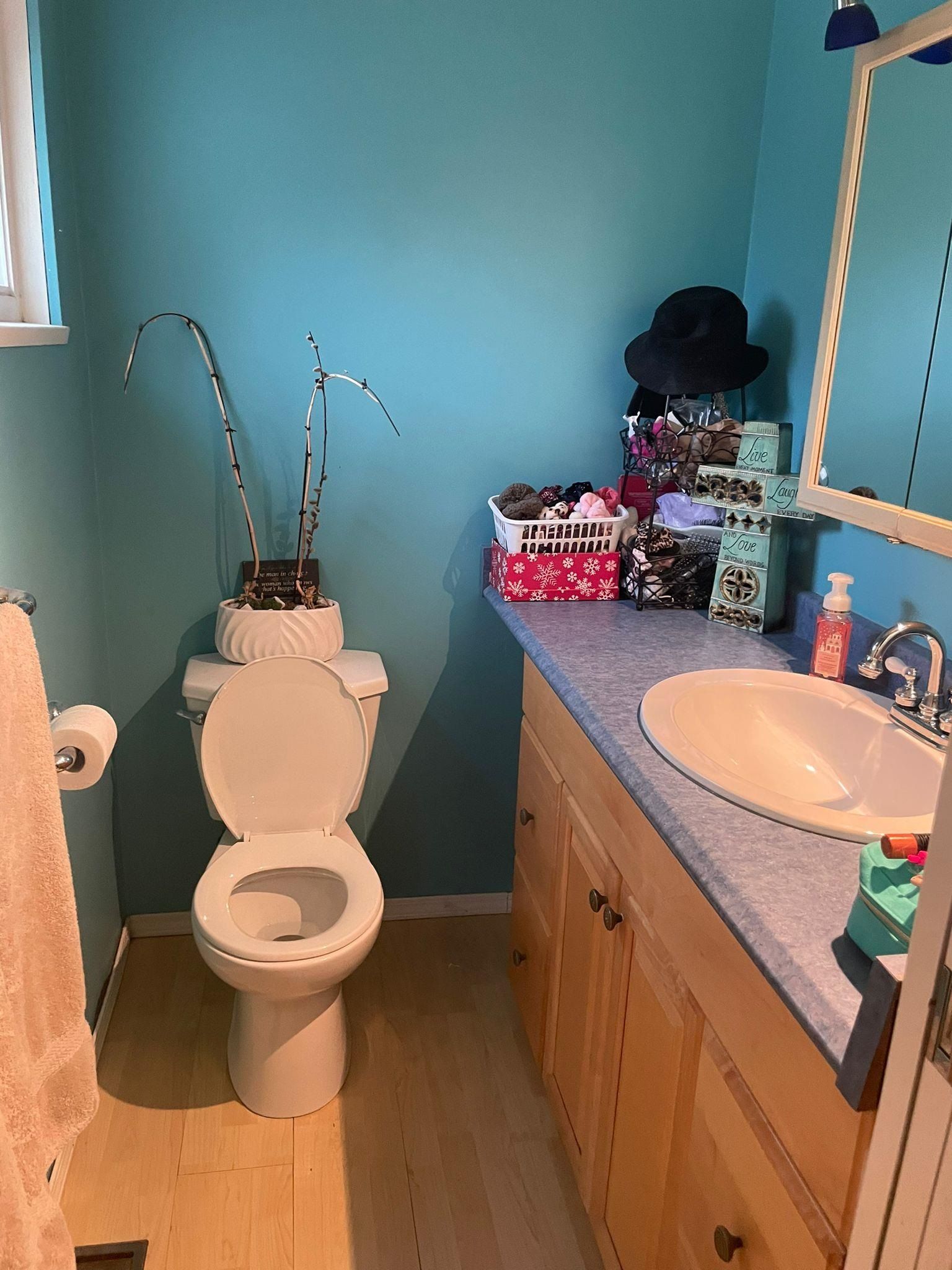 Listing Image 14