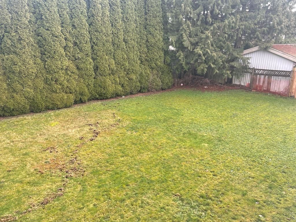 Listing Image 26