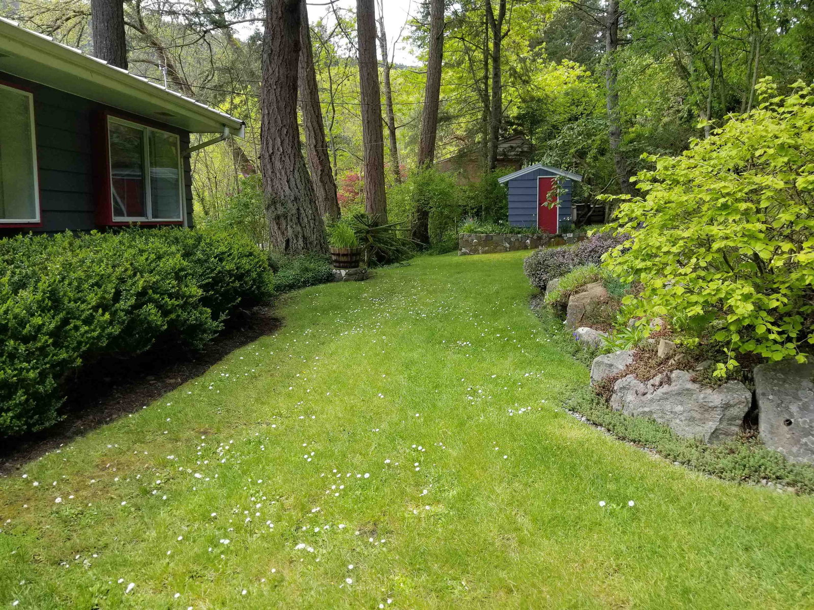 Listing Image 32