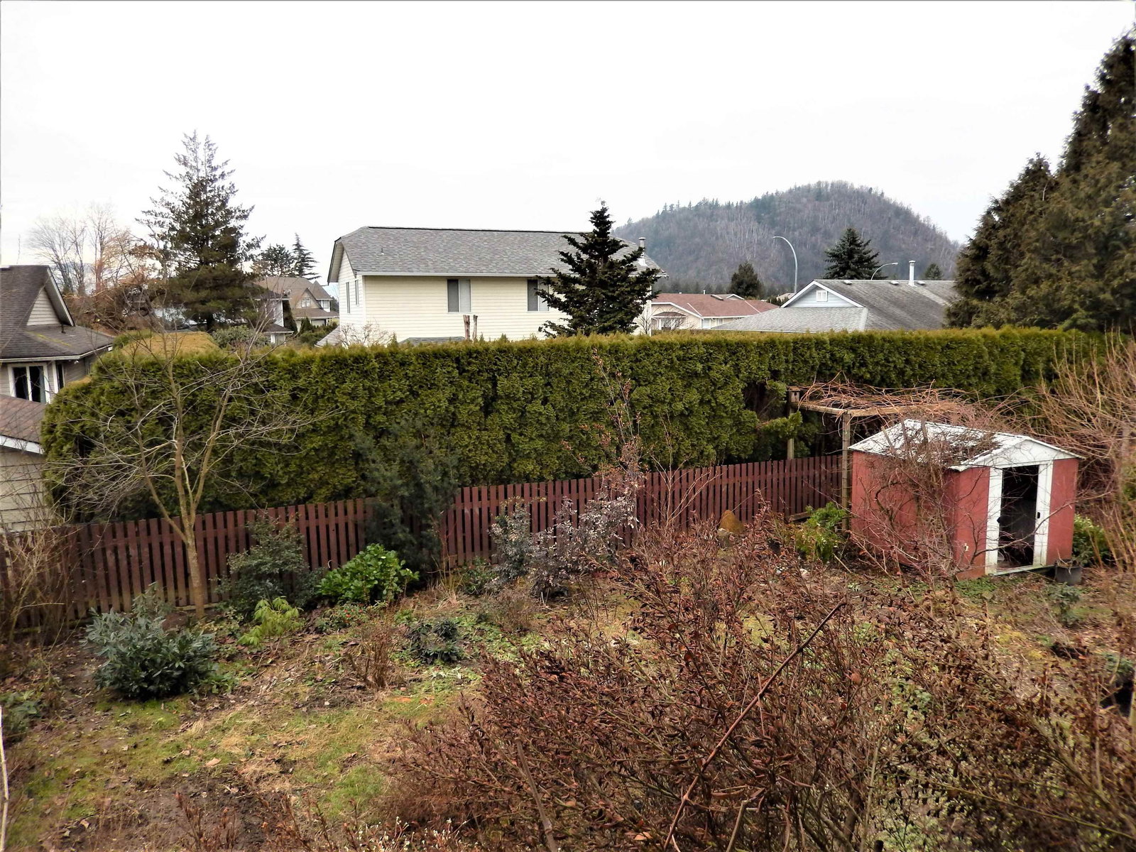 Listing Image 24
