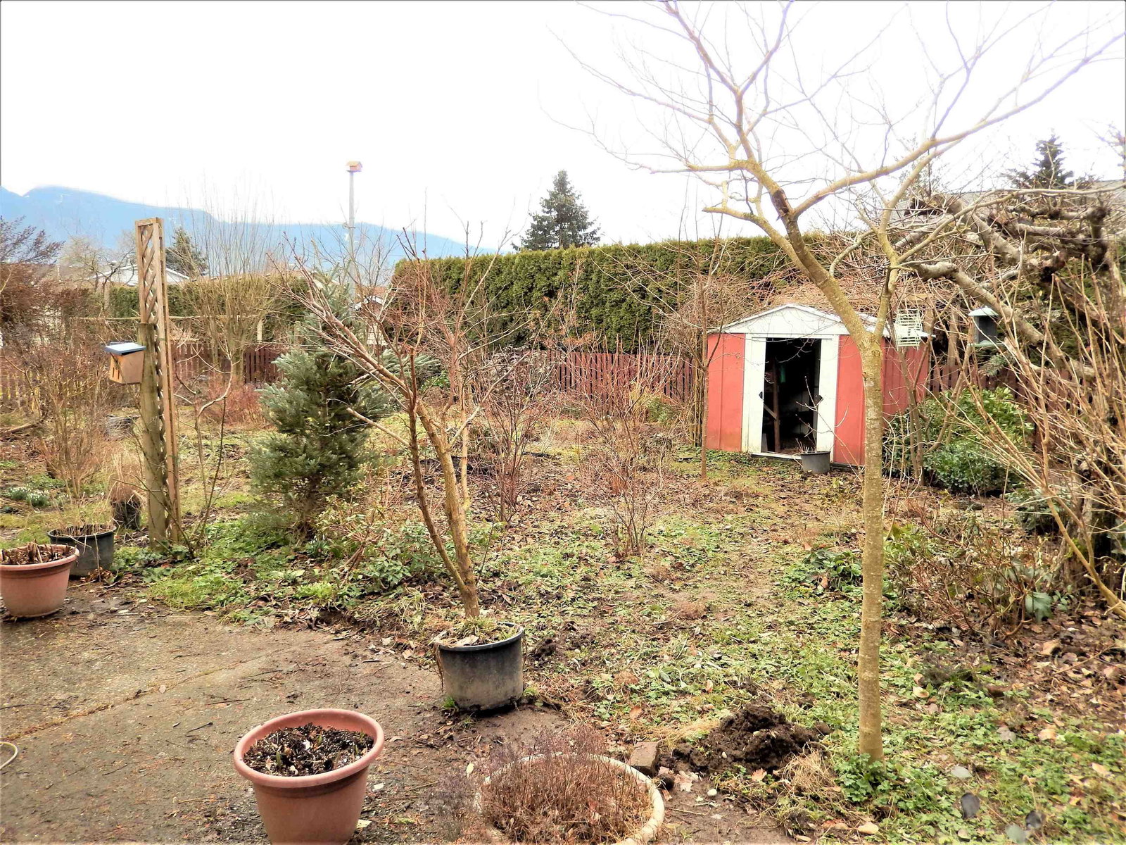 Listing Image 25