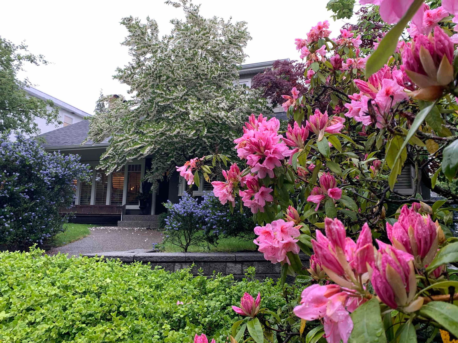 Listing Image 31