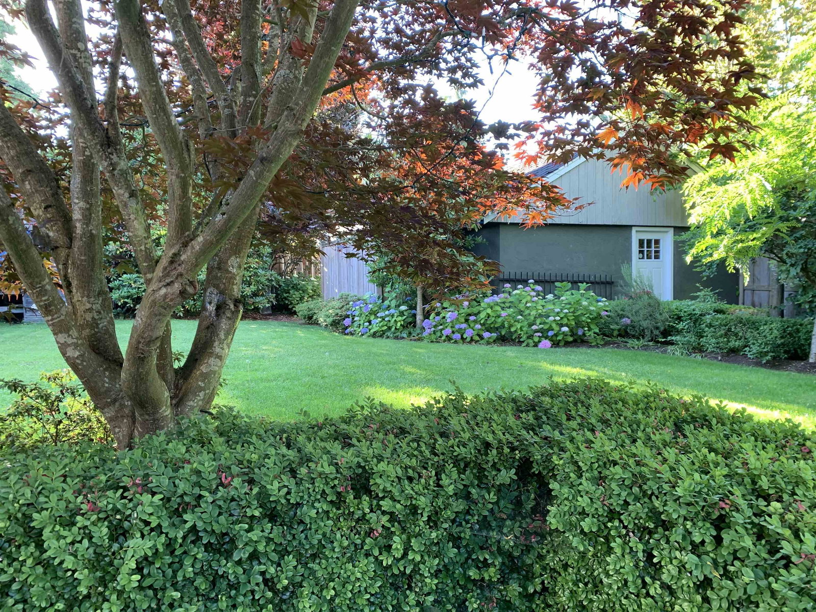 Listing Image 33