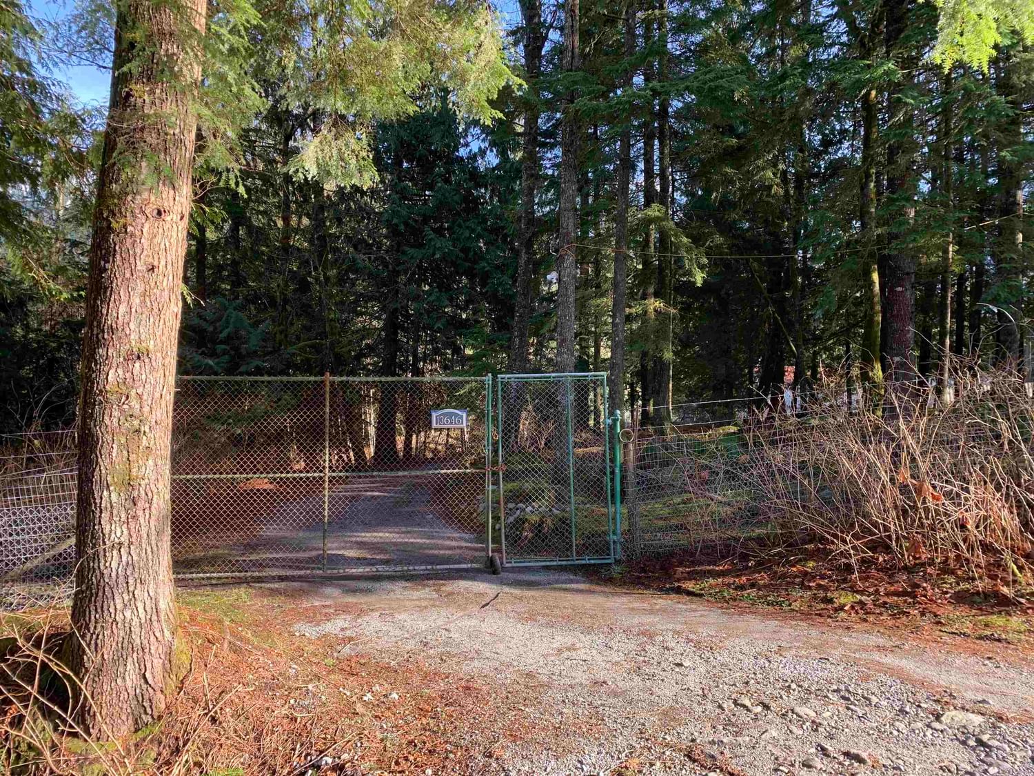 Listing Image 6