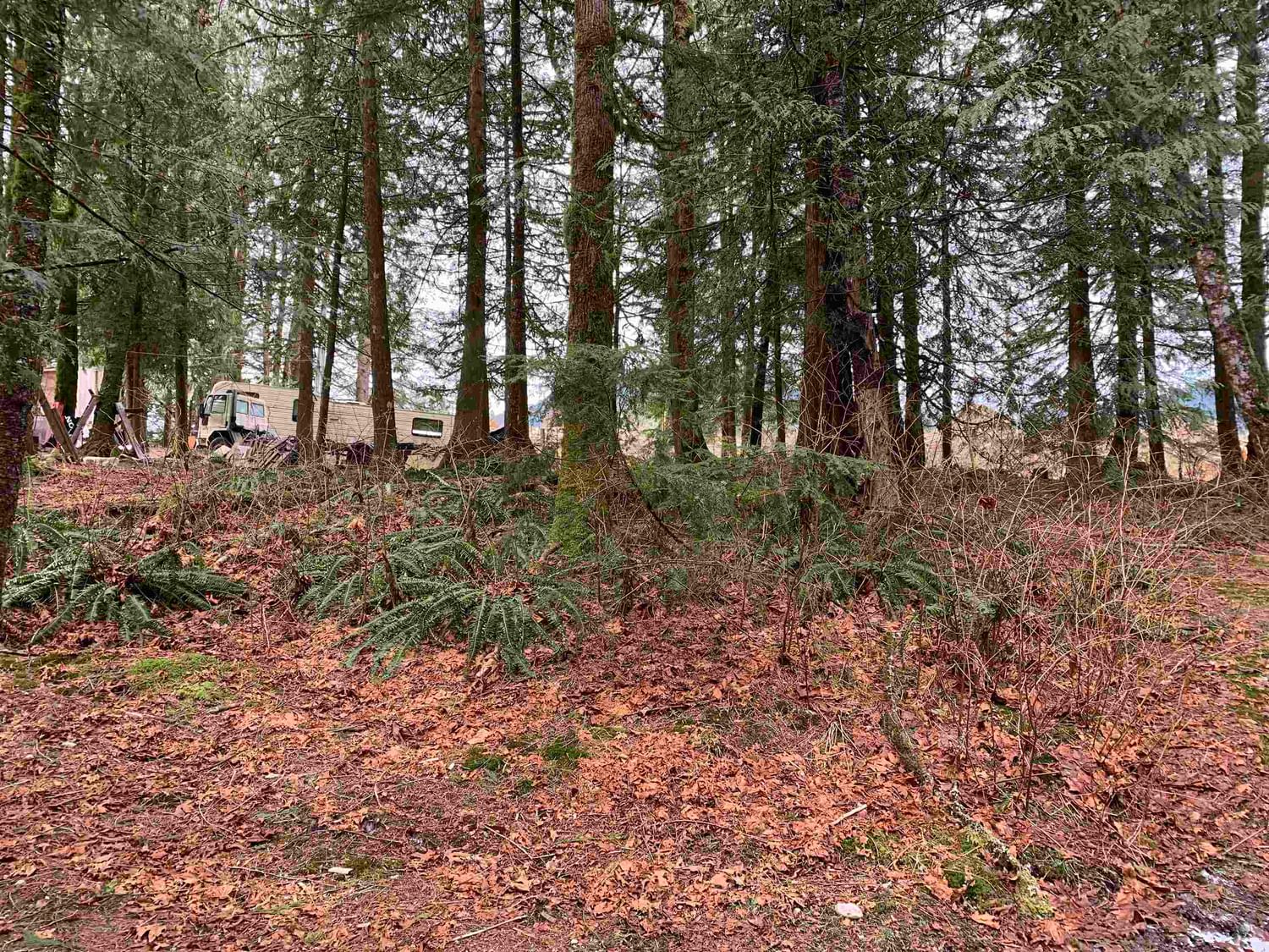 Listing Image 9