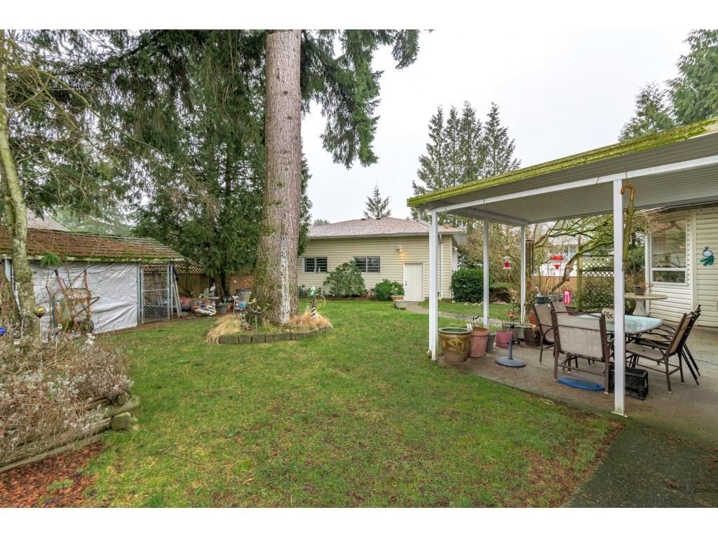 Listing Image 25