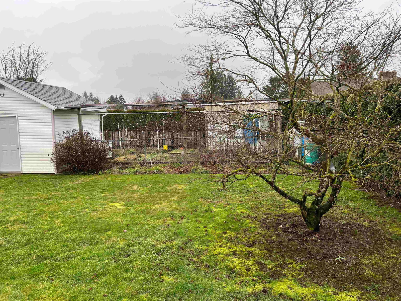 Listing Image 25