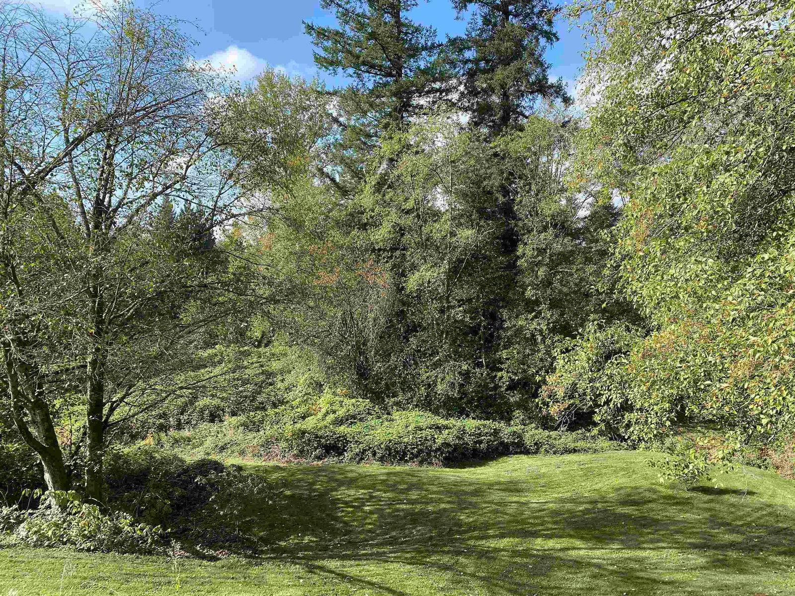 Listing Image 39