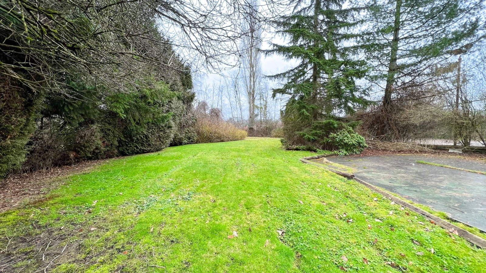 Listing Image 26