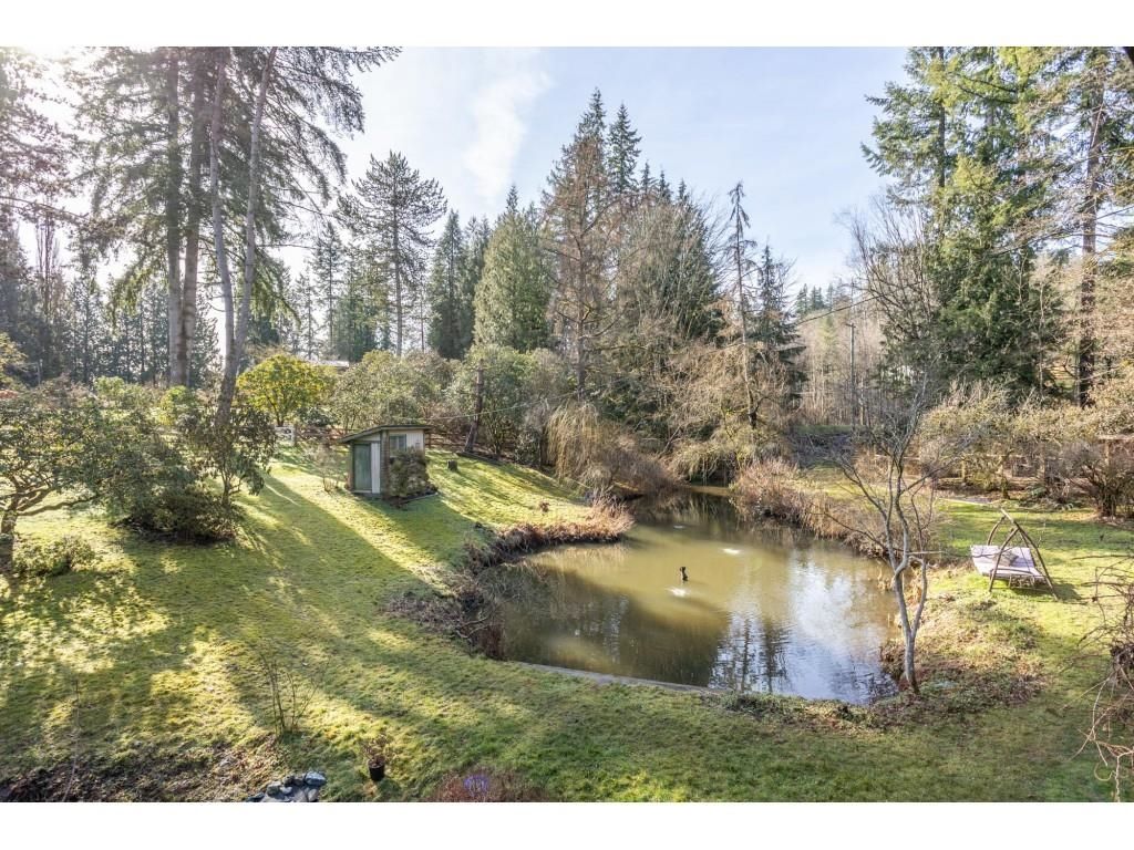 Listing Image 32