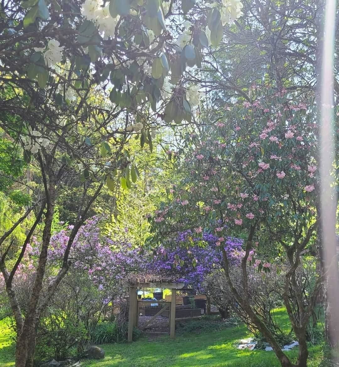 Listing Image 34