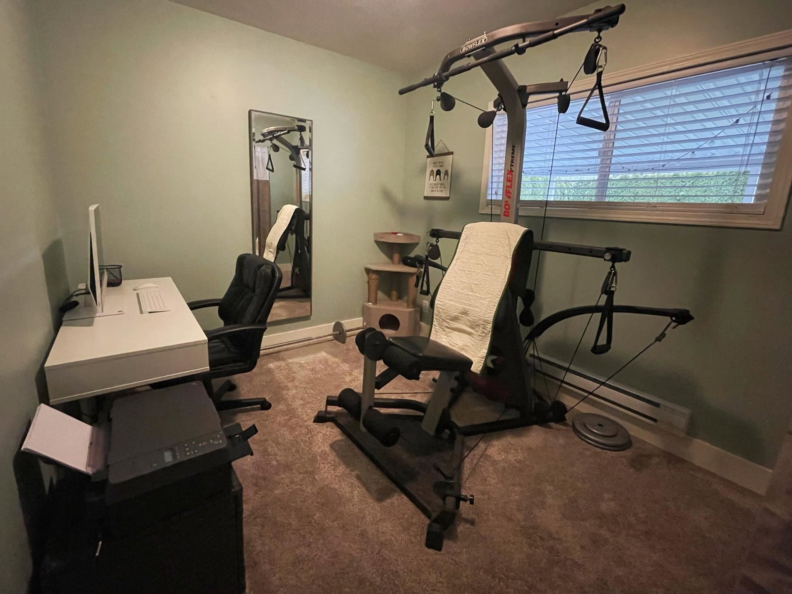 Listing Image 13