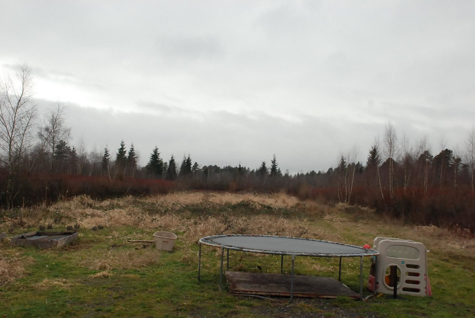Listing Image 6