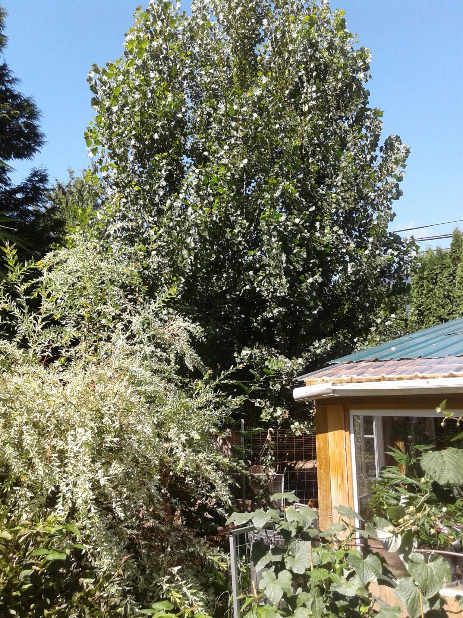 Listing Image 12